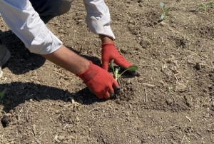 3-4 metre su kald, retim yaplamay