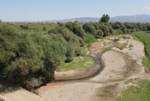 Gediz Nehri'nde alarm