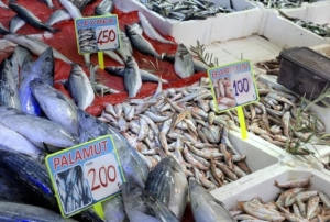 Havalar serinledi, balk tezgahlar hareketlendi