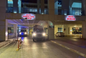 Siyanrl, baltal, bakl aile fac