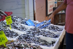 Karadeniz'in incisi hamsi tezgahlarda: Ne alrsan 100 TL