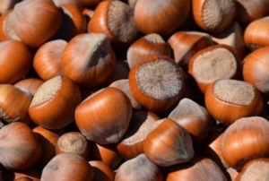 Fndk fiyatlarnda son durum