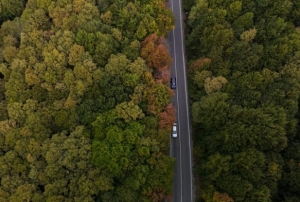 Bolu-Seben yolunda muhteem sonbahar gzellii