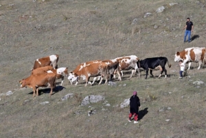 Gen muhtarn Trkiye'ye ilham veren baar hikayesi