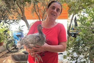 10 yıldır gözü gibi bakıyor