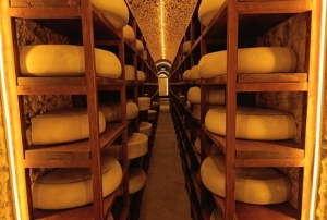 Kars Peynir Müzesi yoğun ilgi görüyor