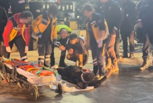 Kaçan sürücü polis aracına çarptı!