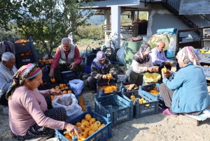 Hurmalı köyü, açık fabrikaya dönüştü