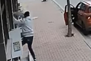 Balkona tırmanıp cins kediyi çaldı