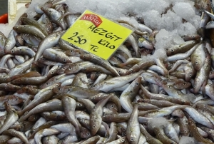 Bolluk yok ama çeşit çok