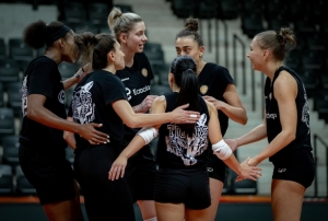 Eczacıbaşı Dynavit, Şampiyonlar Ligi