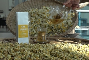 Çayın yeni ürünü ‘Çay çiçeği çayı' 6 bin TL'den satılıyor