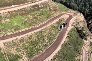 Körfez'e 3 bin 300 Toros sediri diki