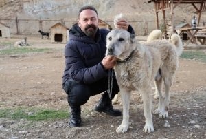 Kangallar kış modunu açtı