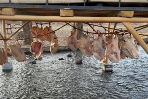 Kış sofralarının vazgeçilmezi hazırl