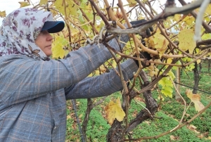 Ev ekonomisine can suyu oluyor!