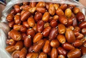 Alaşehir'de iğde ağaçlarının sayısı azalıyor