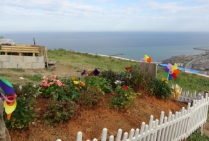 Talep oran� y�zde 95'e ula�t�