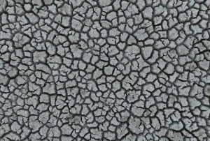 Kurakl�k tar�mda y�n de�i�tirdi