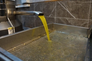 Zeytinya�� fiyatlar� belli oldu, fiyatlarda art�� ya�and�