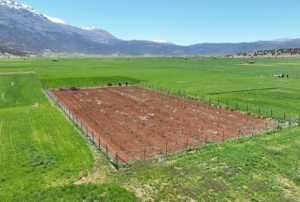 Kay�plar�n �n�ne ge�iliyor!