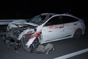 Milyonluk taylar karayolunda telef oldu