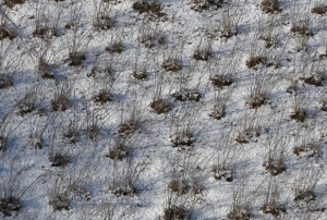 Kar ya����, f�nd��a yarad�!