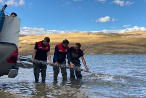 N�fus kadar bal�k deniz ve g�llere b