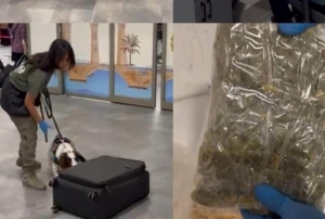 M�s�r gevre�i kutular�ndan uyu�turucu ��kt�