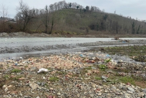 Onlarca tavuk �l�s� bulundu