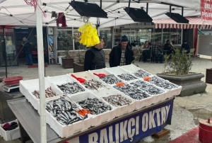 Hamsi yeniden tezgahlarda!