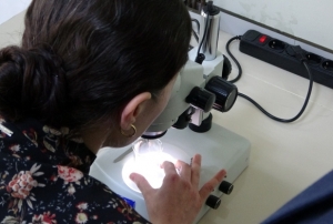 Kolorektal kanser tedavisi i�in yeni umut