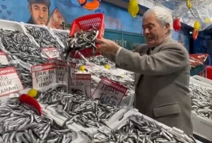 Hamsi fiyatlar� dibe indi