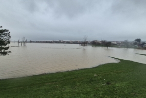 Meriç Nehri yaşam alanlarına kadar ulaştı
