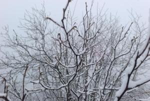 F�nd�k �reticileri tedirgin 