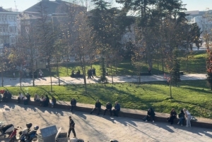 Domuz gribi vakalarında artış