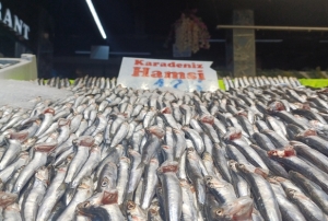 Hava so�udu hamsi geri d�nd�