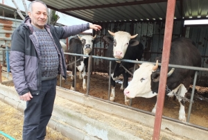 Kurbanl�k sat��lar� ba�lad�!