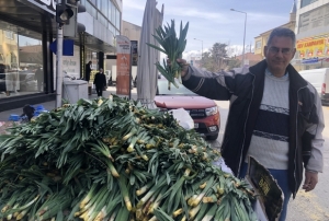 �iri� otu tezgahlardaki yerini ald�