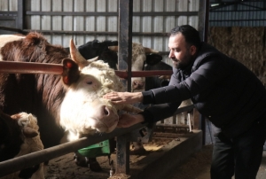 Kurbanl�kta erken al�m hareketlili�i!