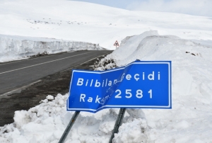 2581 rakımda arıcılardan yol açma çağrısı