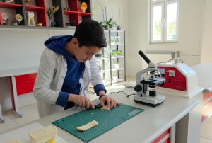 Pirin� kabuklar�ndan yal�t�m malzemesi �retti