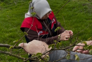 F�nd�k �reticilerine uyar�!