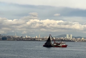 Av mevsiminin son g�nlerinde istavrit bollu�u