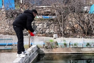 300 bin balık telef oldu!