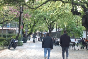 1620 tarihi meşeye özel koruma