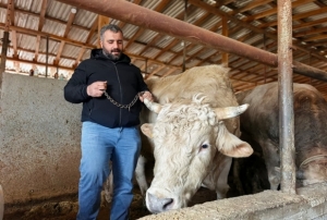 Tonluk 'Paşa' 500 bin lira