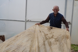 Ata tohumlar� i�in zirai don n�betinde