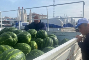 Antalya'da sezonun ilk karpuz hasad� yap�ld�