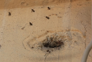 �ocuklar�n att��� ta� k�zd�rd�!